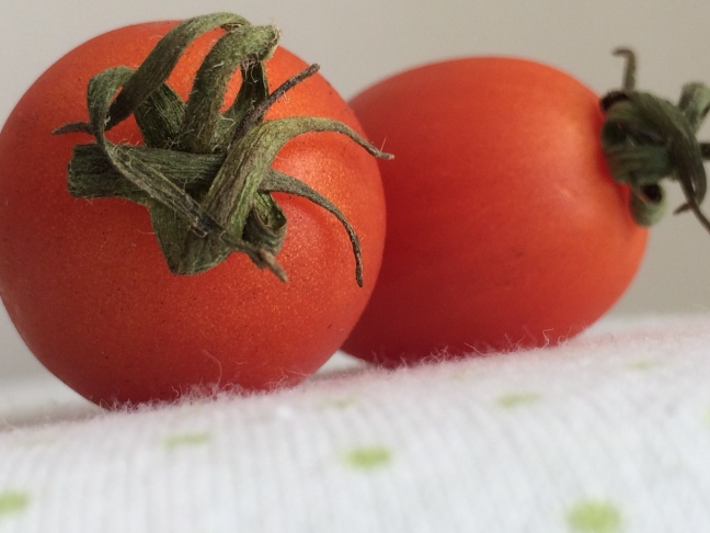 tomato pic